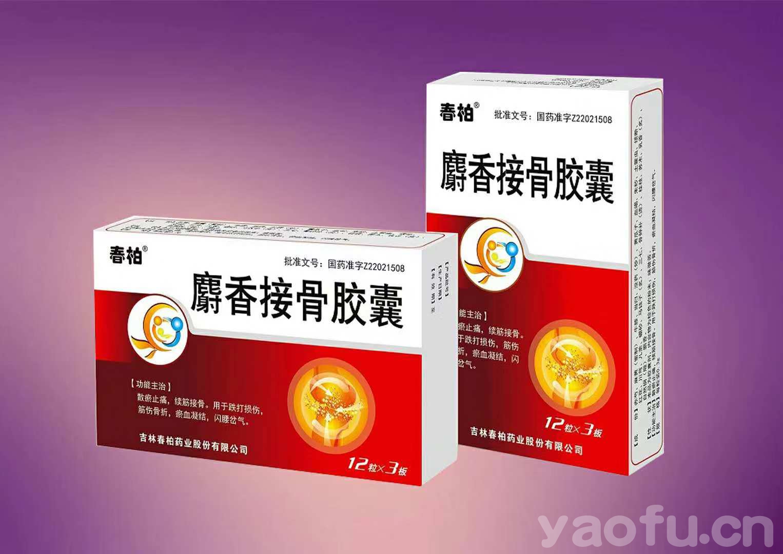 麝香接骨膠囊